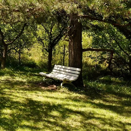 Strandzhata's House Guest house