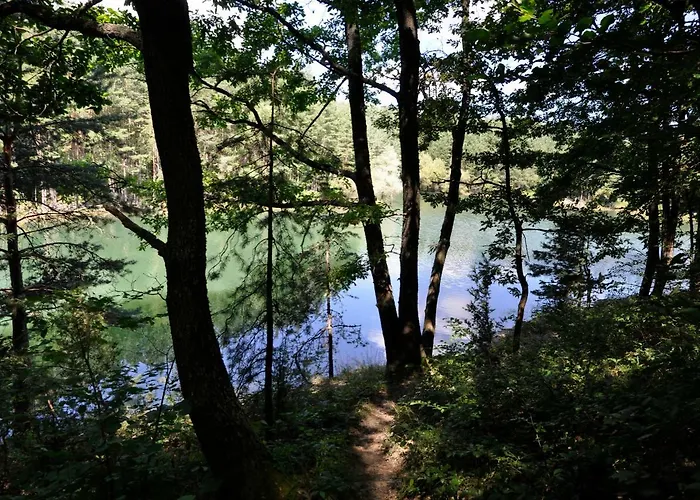 Strandzhata's House *